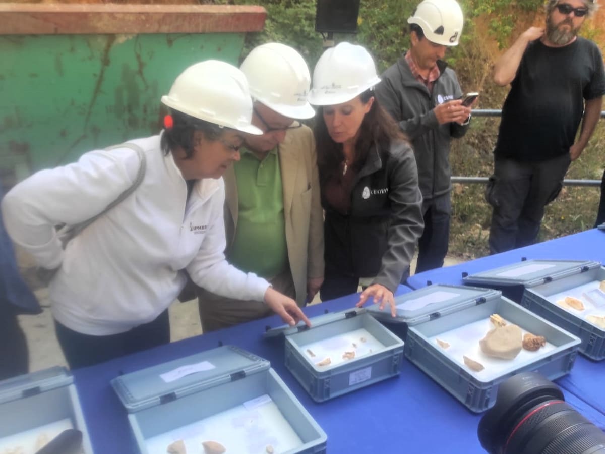 Diez fósiles de Homo Antecessor, principal hallazgo en la campaña de excavaciones de Atapuerca