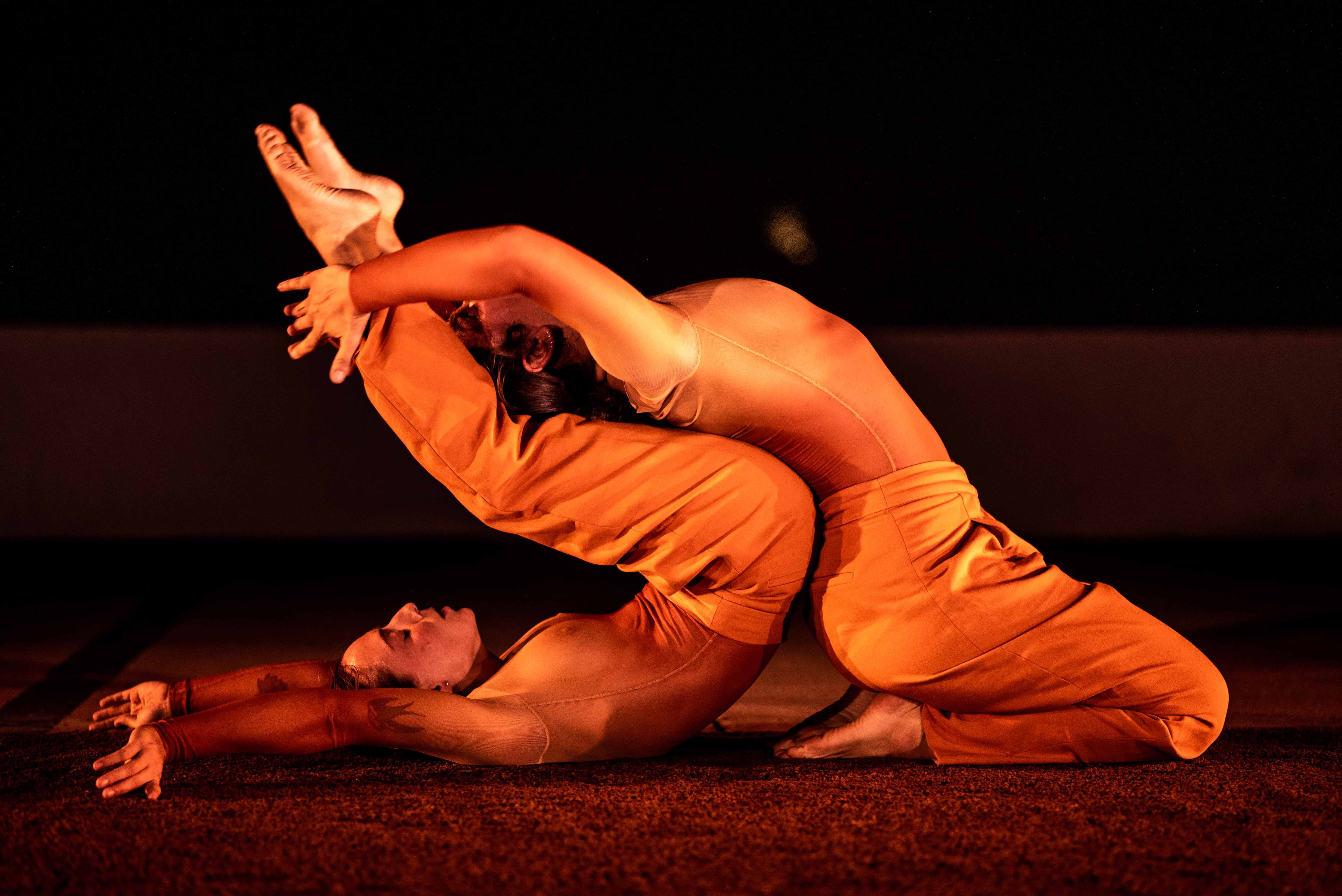 La creación coreográfica llega a Frómista, Villalcázar de Sirga y Carrión de los Condes con &#039;Danza en el Camino’