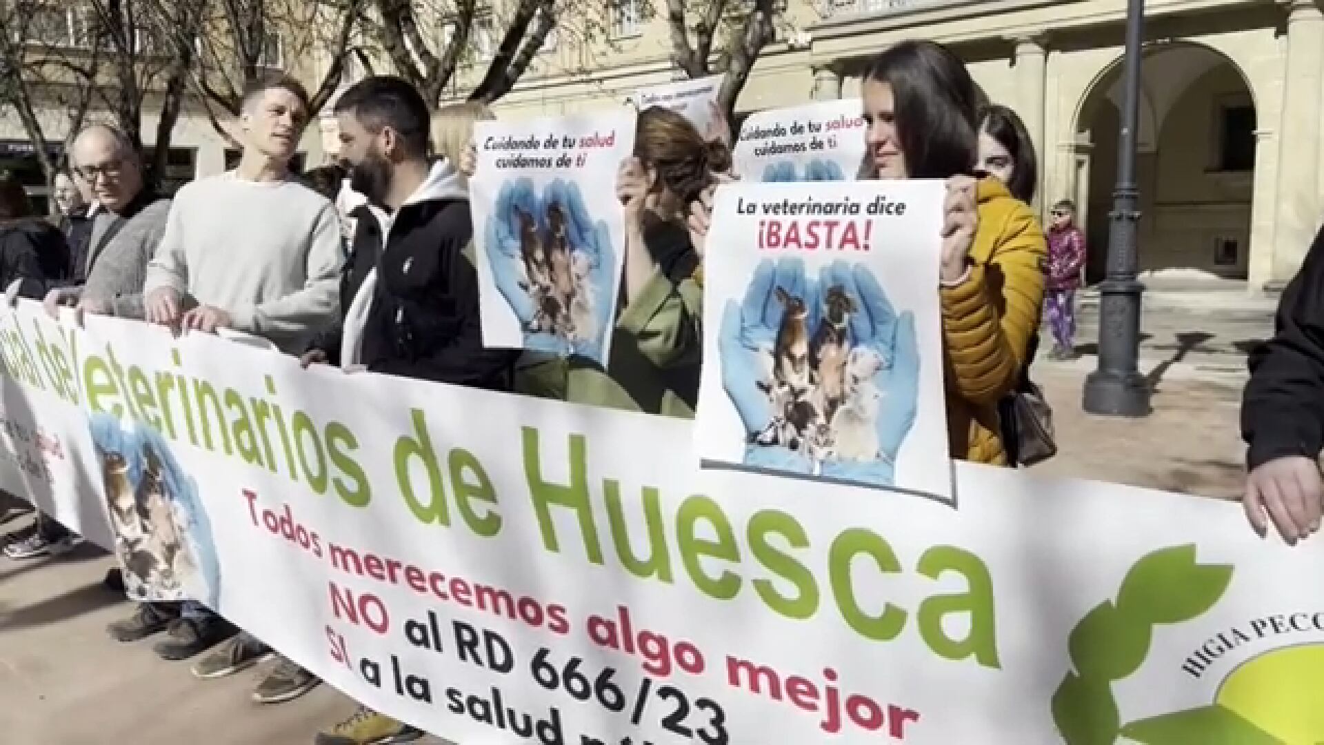Manifestación Veterinarios Huesca