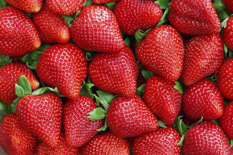 Fresas.