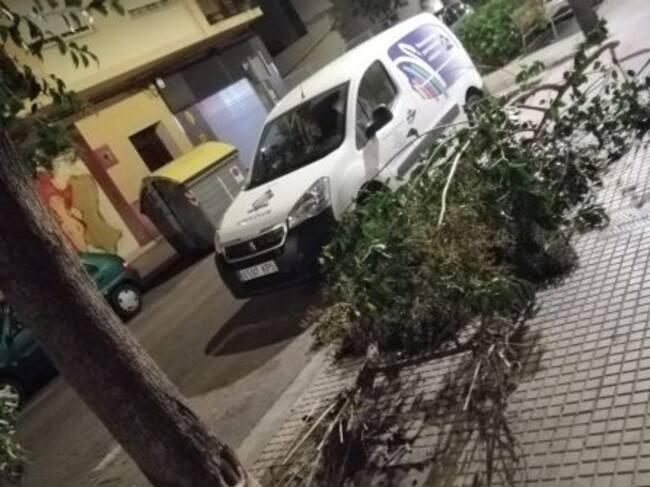 Ramas arrancadas por el viento en Gandia
