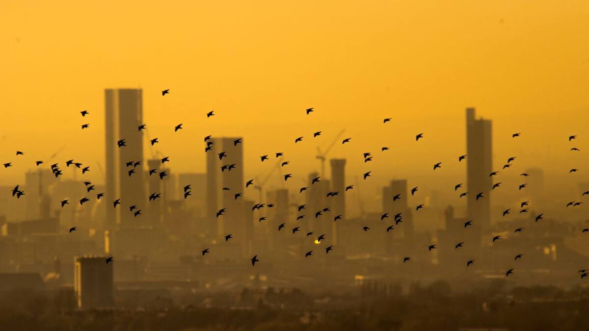 VIATGES PONSETI: Liverpool i Manchester