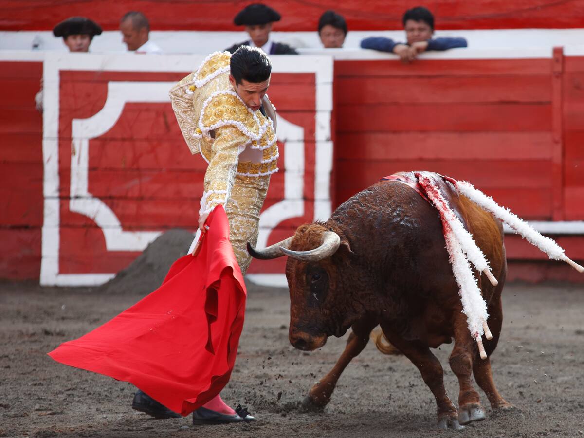Maruja Torres: "Si hay que retroceder, se retrocede"