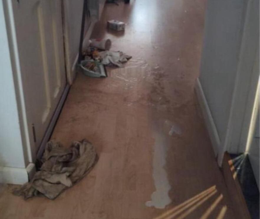 Fotografía proporcionada por la Policía Nacional de la situación en la que encontraron los pisos