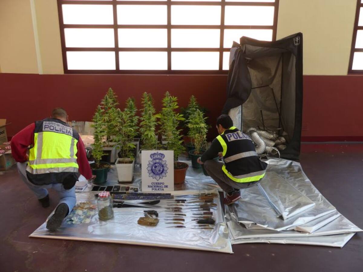 Detenidas madre e hija en Palencia por una plantación de marihuana en su casa