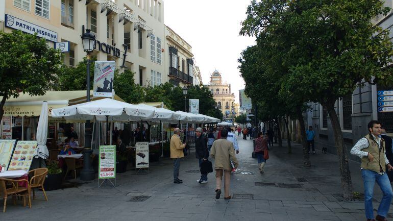 Imagen de la calle Larga de Jerez, una de las zonas comerciales del centro de la ciudad