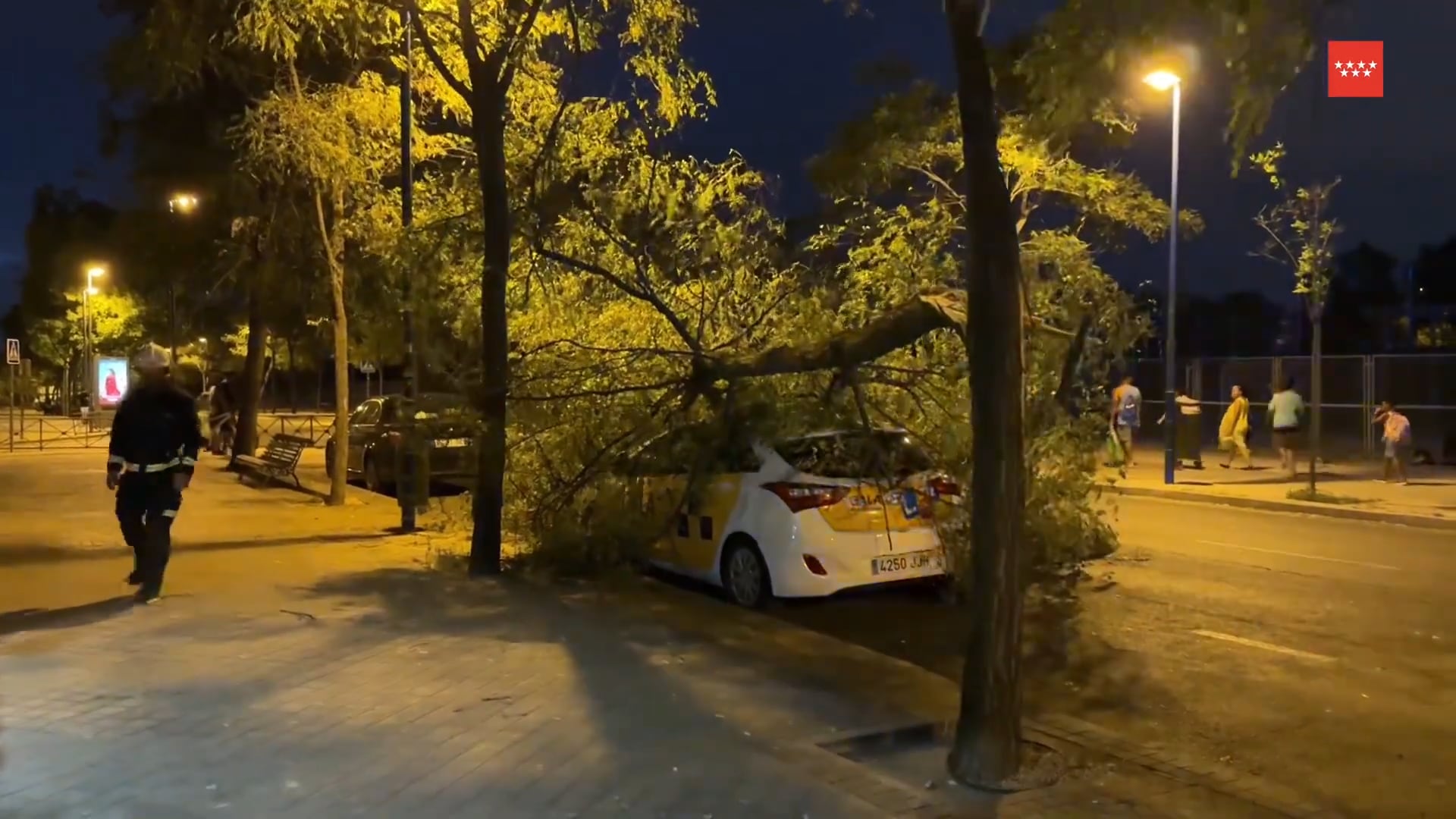 El temporal de viento nos dejó imágenes como está de Leganés con una gran rama caída sobre un turismo