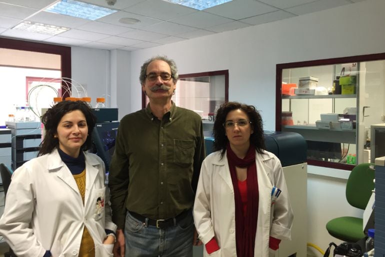 Equipo de la UCLM que ha participado en esta investigación.