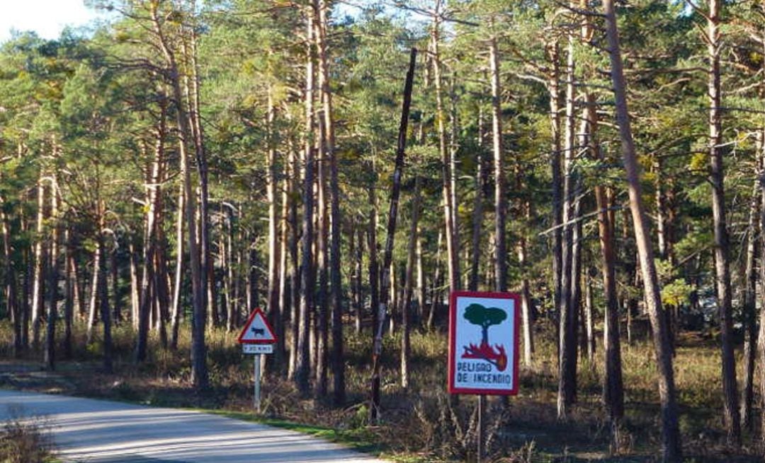 Carretera del Amogable.