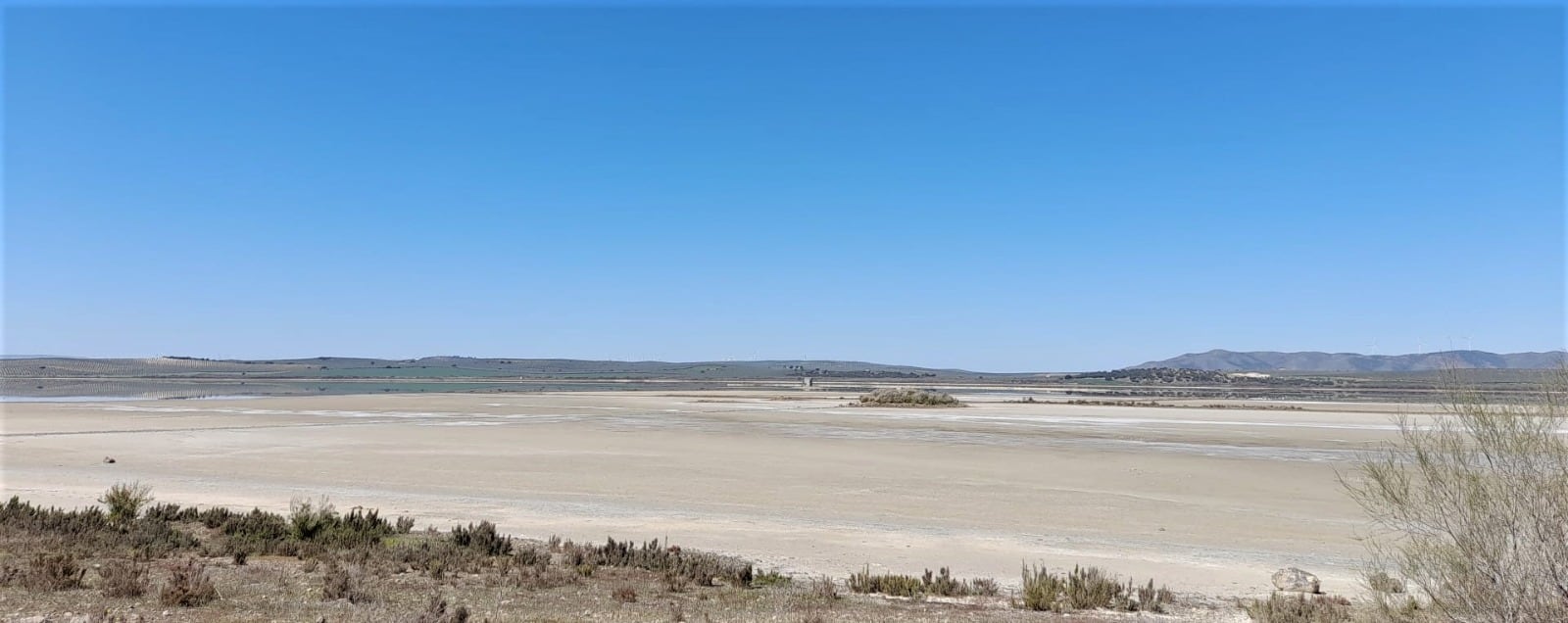 Estado actual de la Laguna de Fuente de Piedra