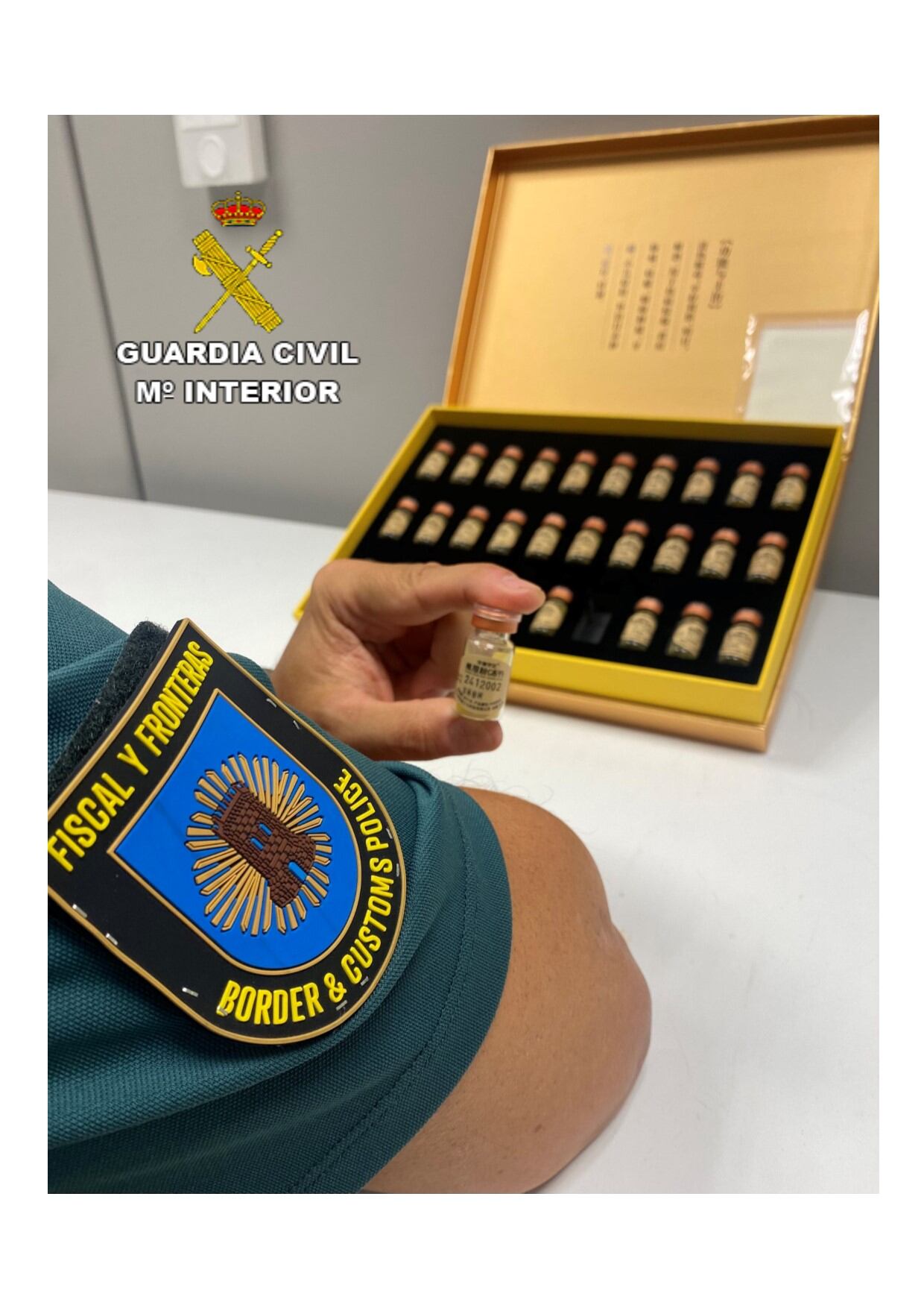 Bilis de oso en Vigo