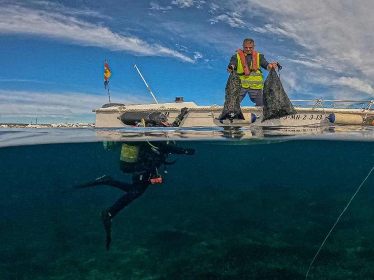 PortsIB restaurarà més de 2.000 metres quadrats de posidònia al port de Fornells