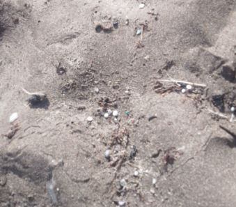 Microplásticos detectados en la playa de La Garita de Arrieta, al norte de Lanzarote.