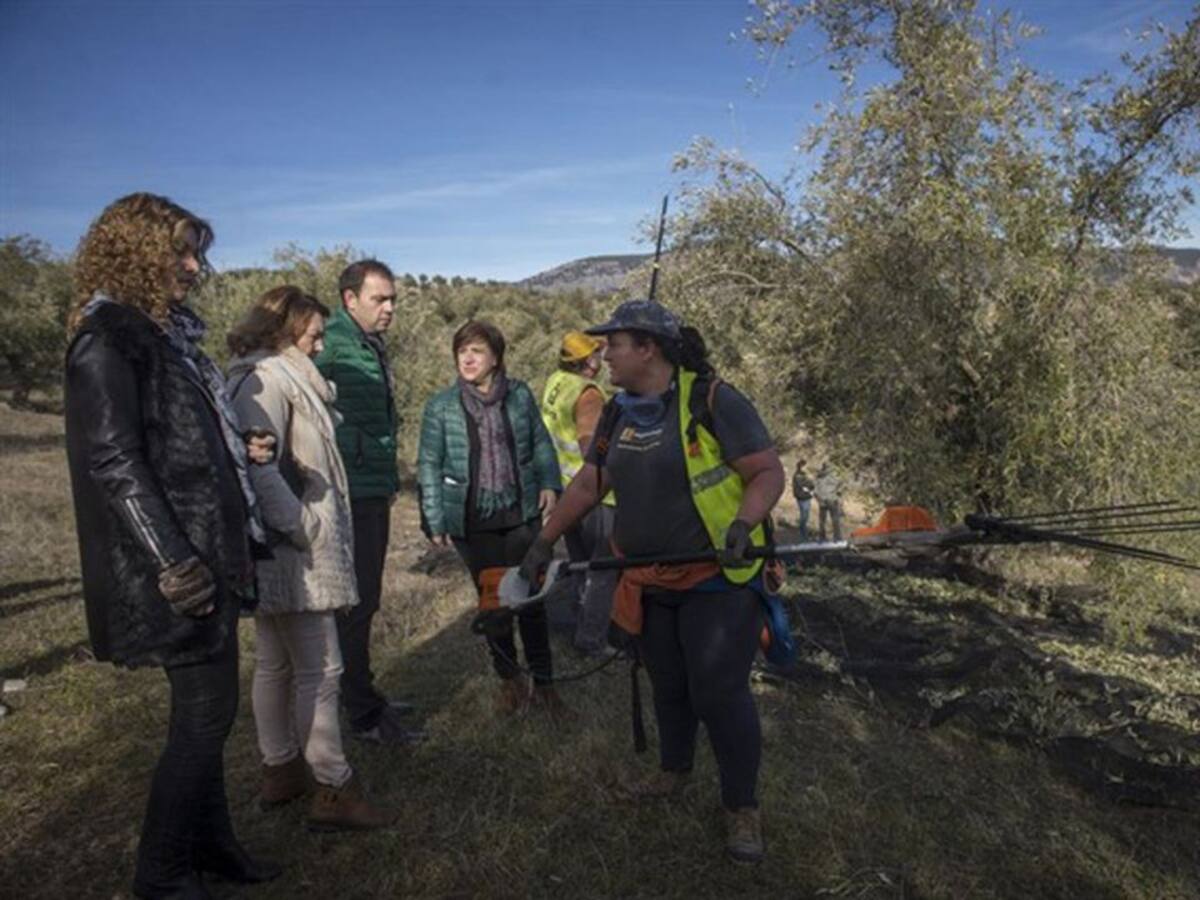El primer aforo mejora las buenas previsiones de producción de aceite en Granada