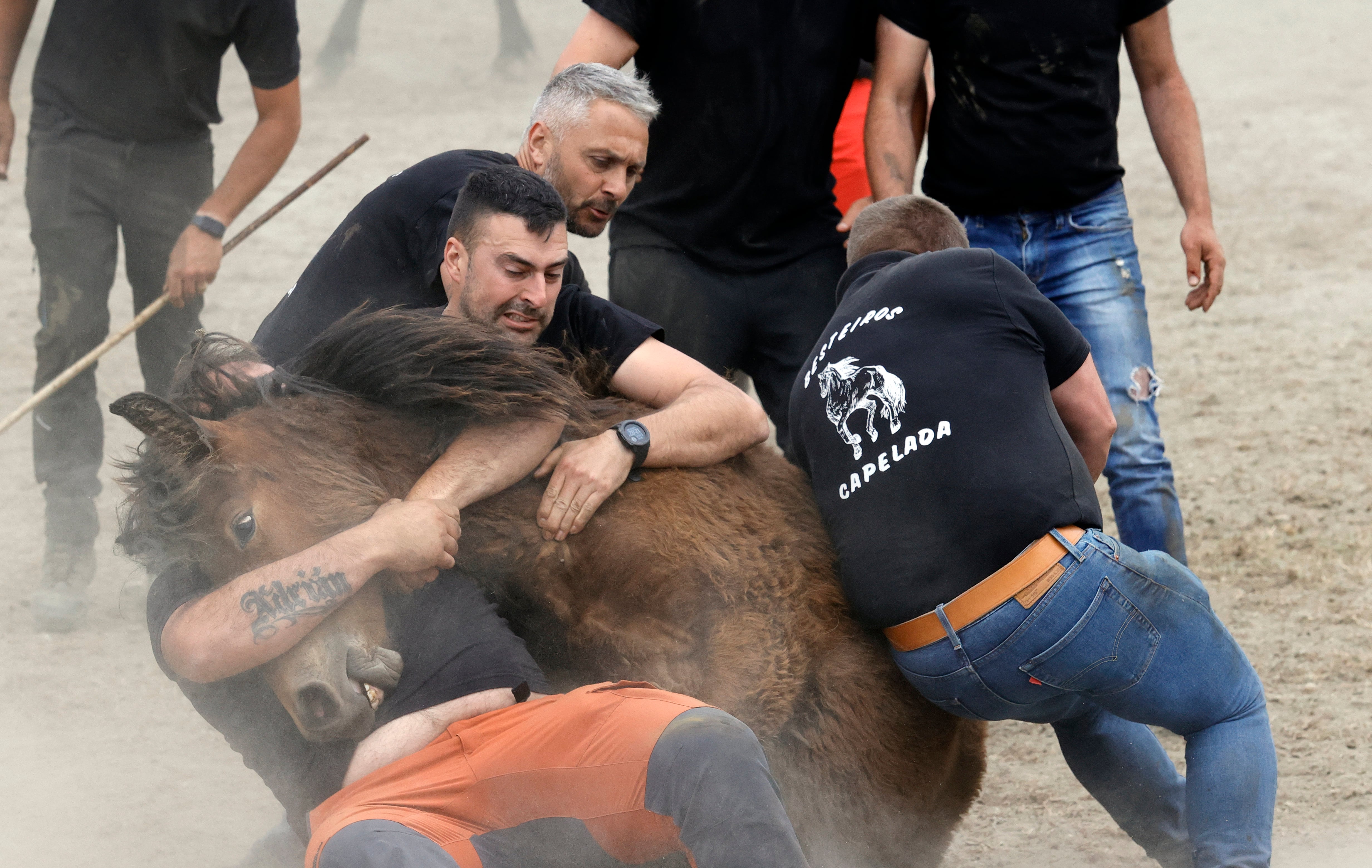 Con más de medio siglo de historia, la Rapa das Bestas de la sierra de A Capelada, entre los municipios de Cedeira y Cariño, reúne a centenares de personas en un curro todavía más popular gracias a la serie televisiva 'Rapa" (foto: Kiko Delgado / EFE)