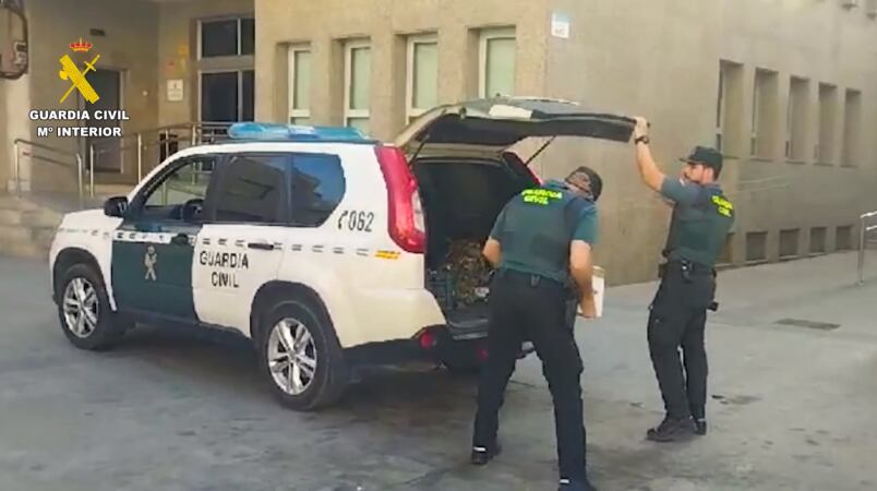 Detenido el Hacker que robó 700.000 euros al Ayuntamiento de Roquetas.