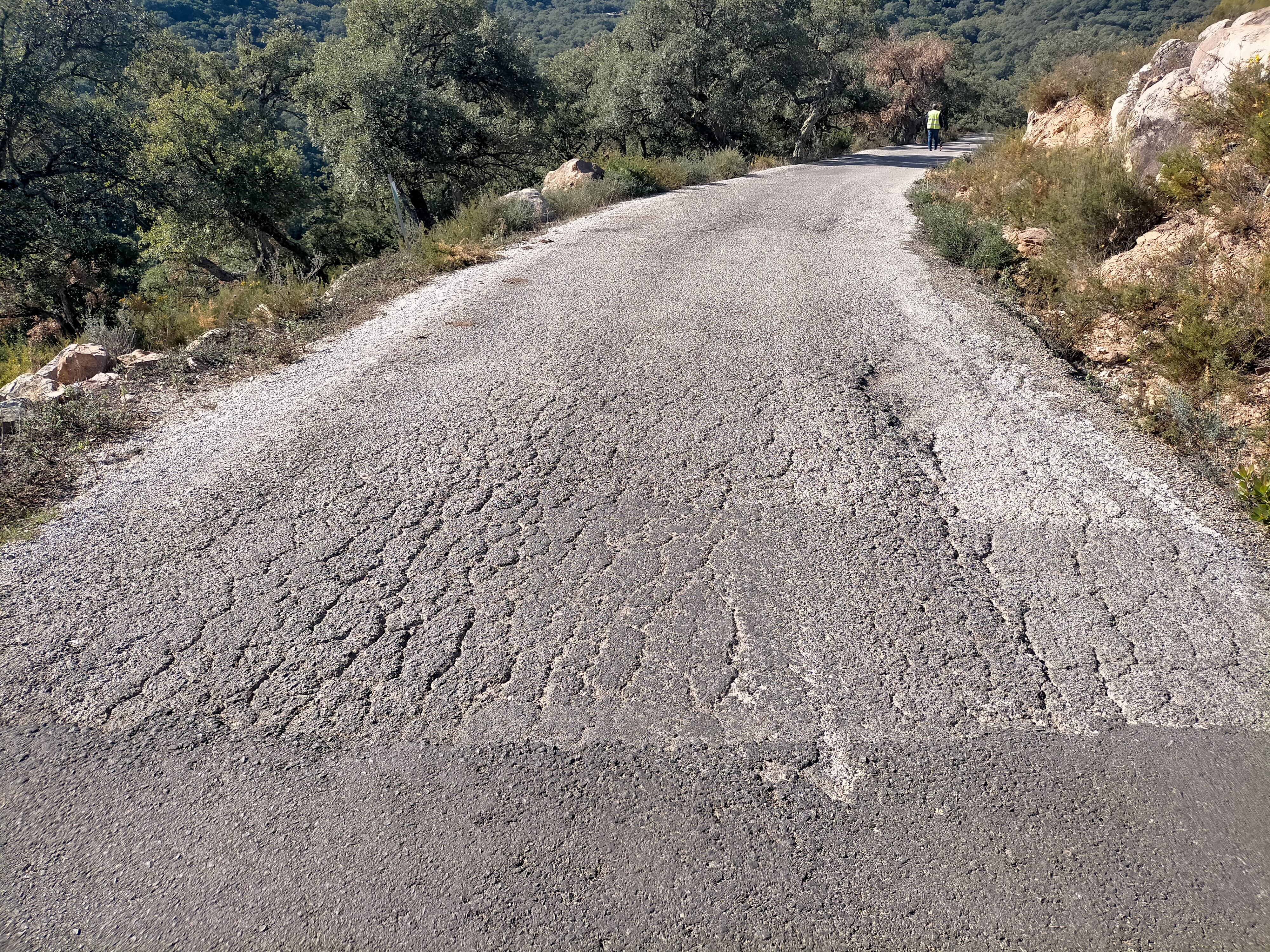 La actuación permitirá ahorrar distancia y tiempo que es de gran importancia para la saca del corcho