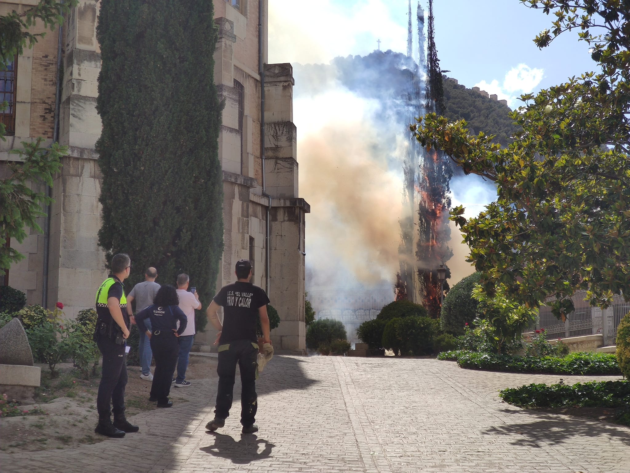 Unos pinos arden en el patio trasero de la Diputación Provincial de Jaén