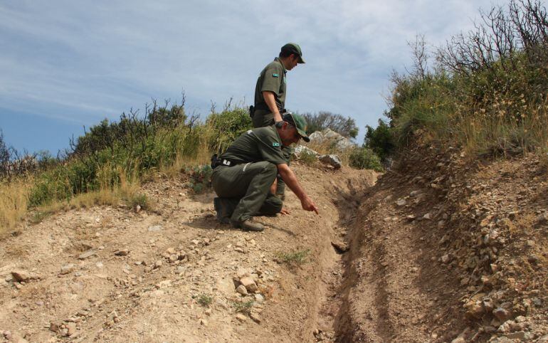 Agents rurals inspeccionant roderes de motos.