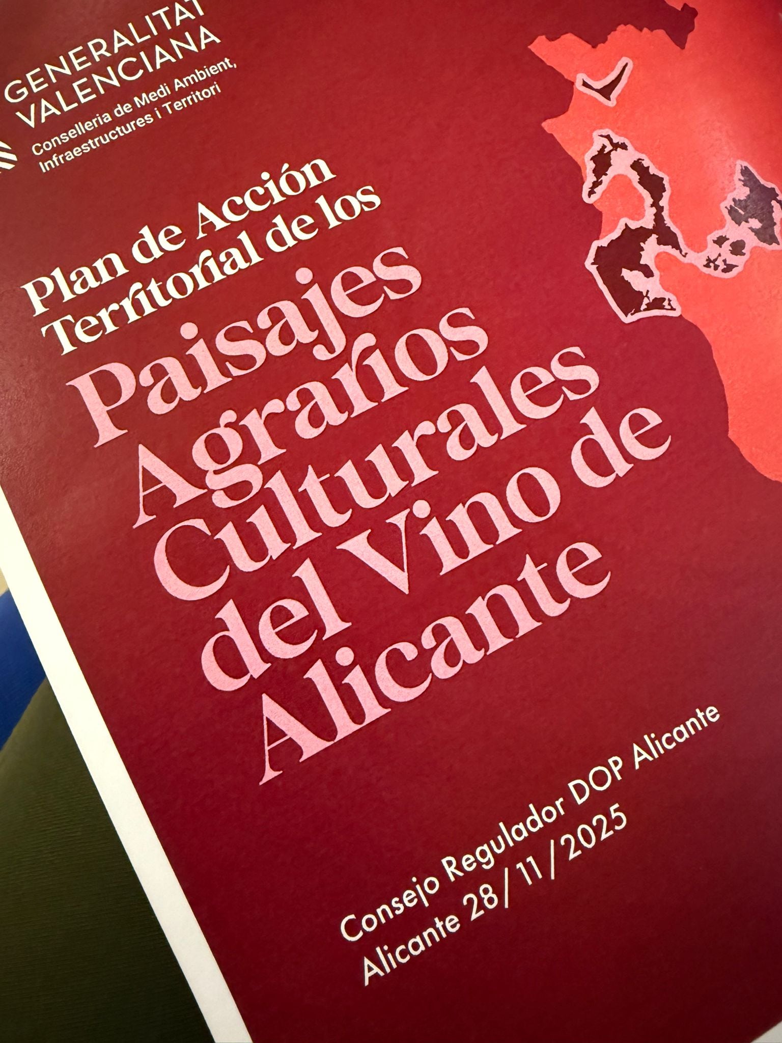 Reunión del plan de acción