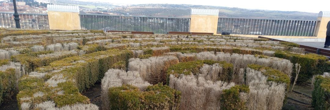 El jardín de boj de la plaza de El Miradero