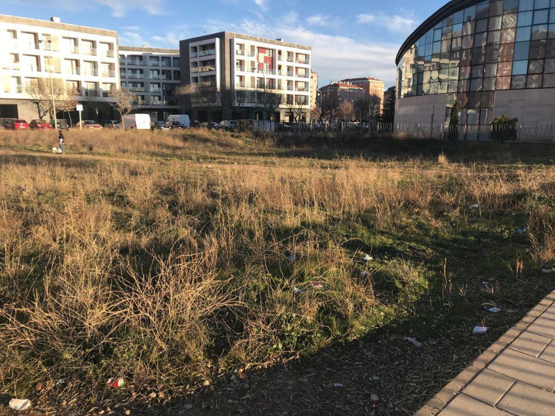 Imagen de una parcela del barrio de Eras infectada de maleza