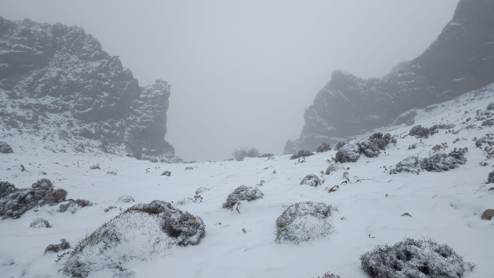 Nieve en la Sierra de Grazalema