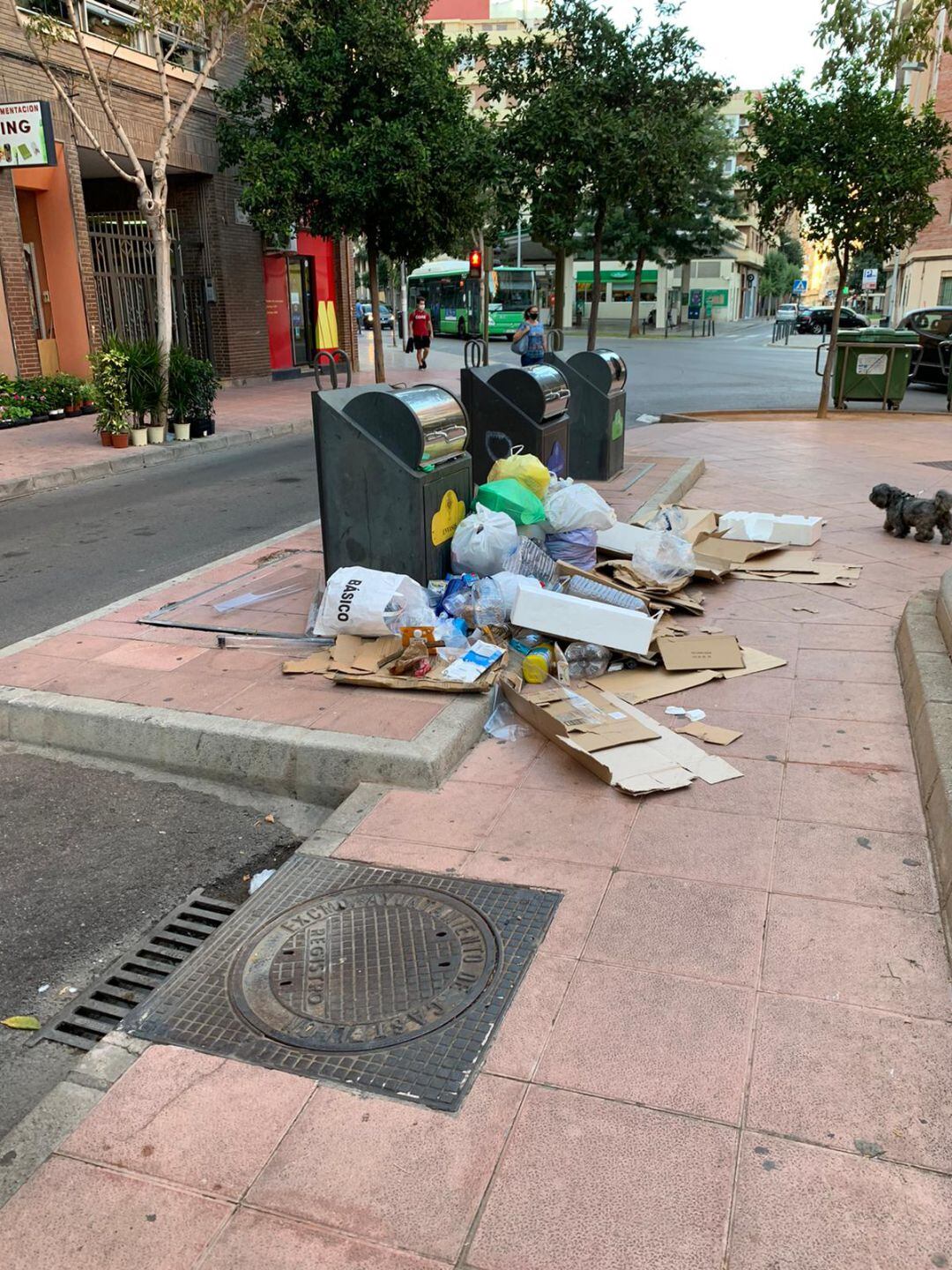 Basura acumulada en la plaza Doctor Marañón de Castelló. 