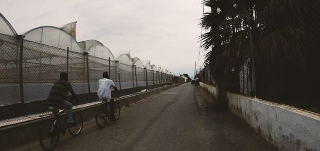 Las bicicletas de Cuenca en uso por los trabajadores de Níjar.