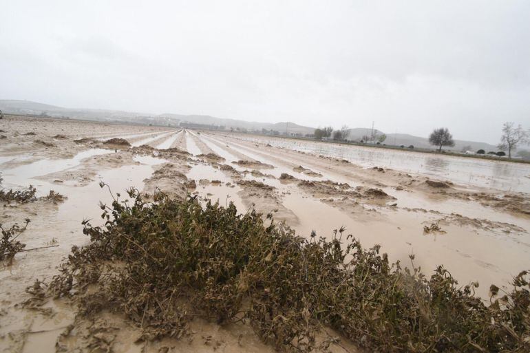 Campos inundados por la crecida del río Genil en Huétor Tájar (Granada)