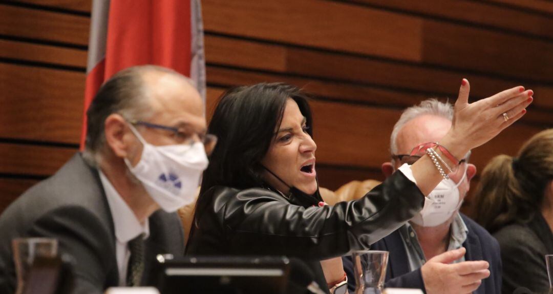 En la imagen la socialista Ana Sánchez antes de ser expulsada