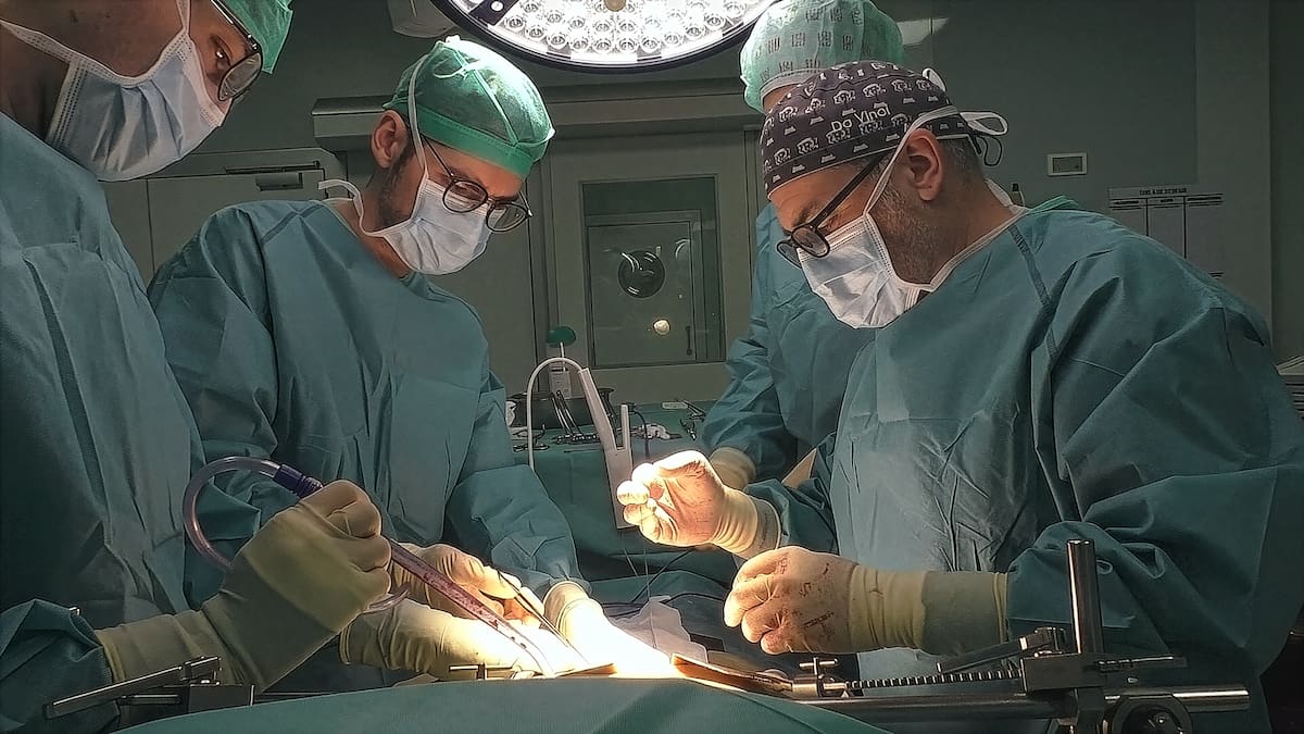 De un reto quirúrgico a casi 2.000 vidas salvadas: 30 años del primer trasplante de hígado en Euskadi