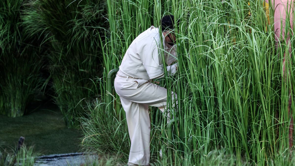 ¿Cómo fue desde dentro la actuación de los arbustos en el show de Bad Bunny?