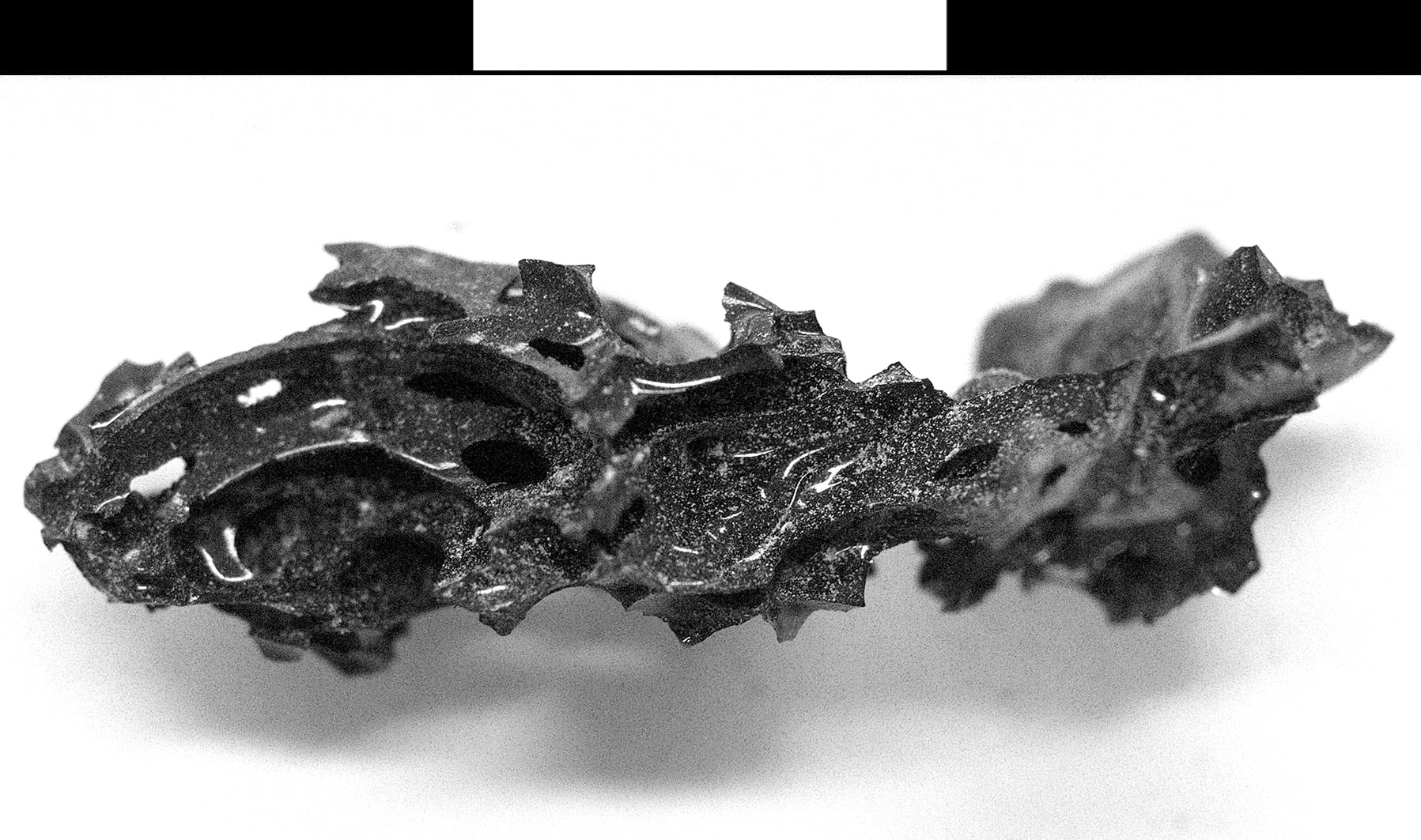 Fragmento de vidrio orgánico hallado en el cerebro de la víctima del Vesubio.