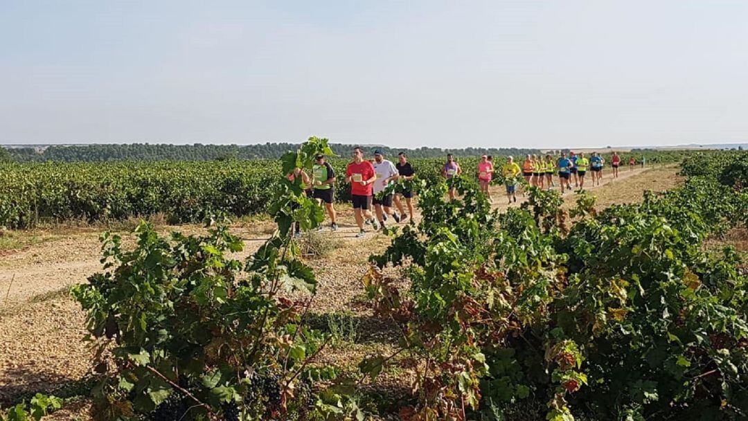 Varios participantes en la carrera