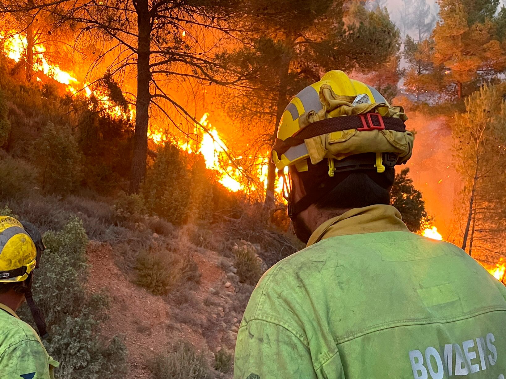 Incendio de Villanueva de Viver