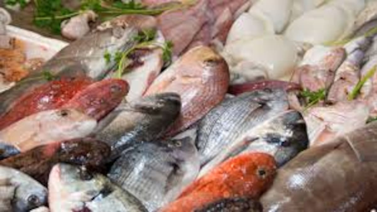 Adiós al 'pezqueñines no, gracias': el futuro de la pesca en Ibiza está en los peces grandes