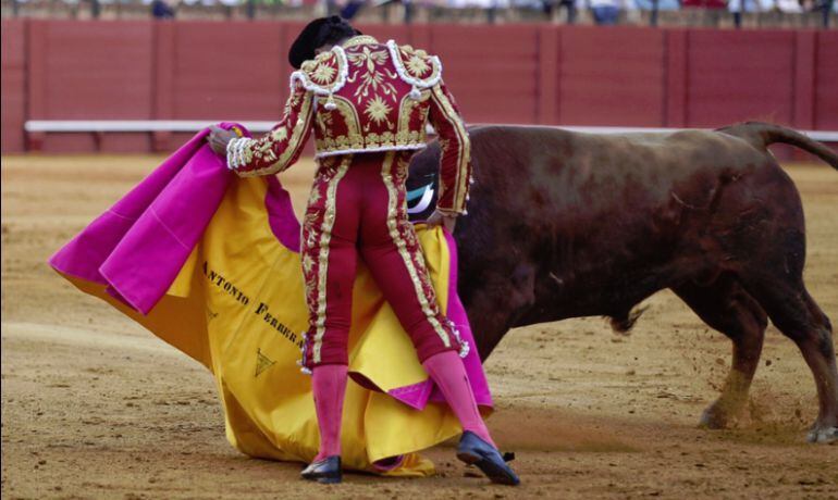 Antonio Ferrera durante una de sus actuaciones con el capote en la Feria de Abril de 2017