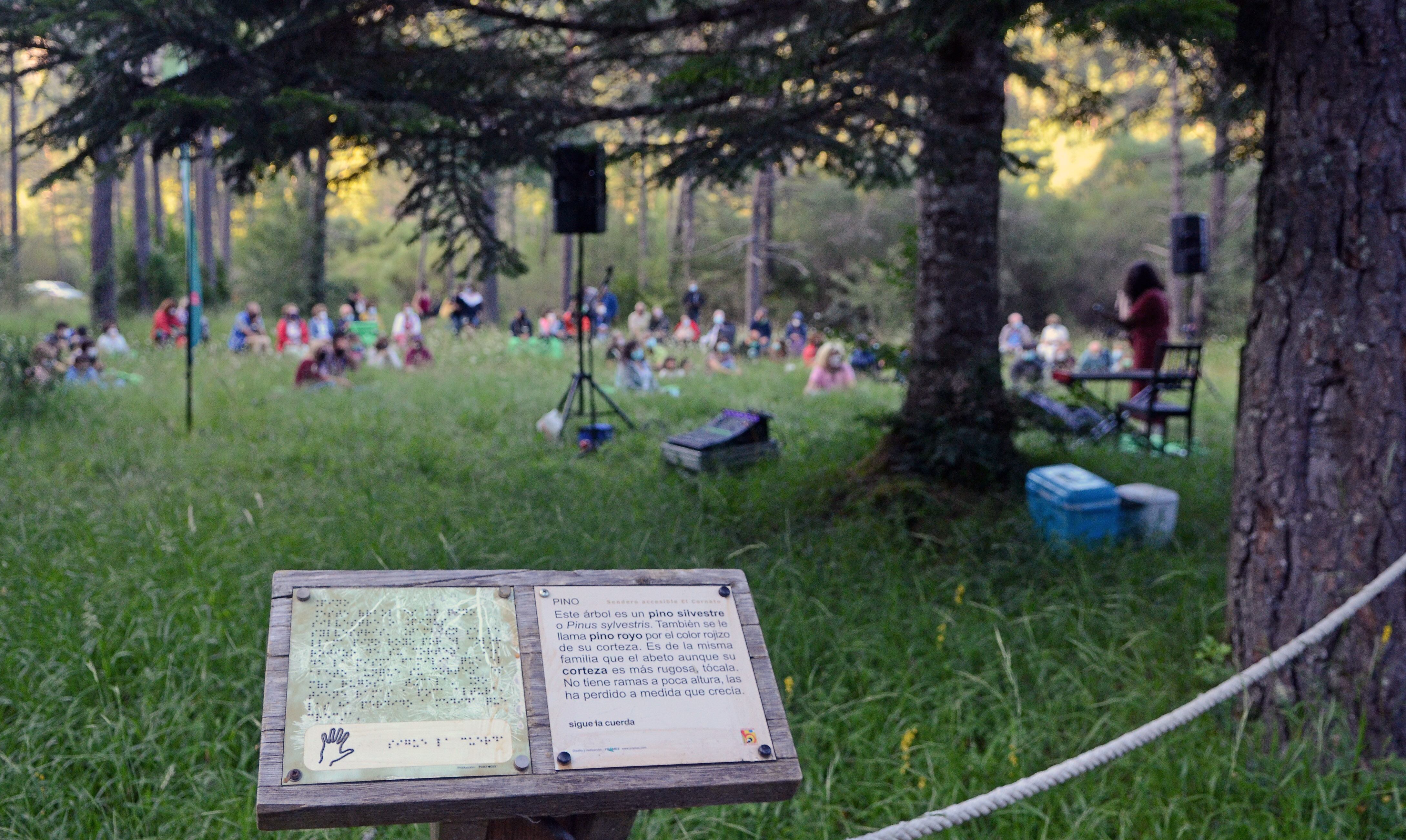 El SoNna continúa consechando éxitos