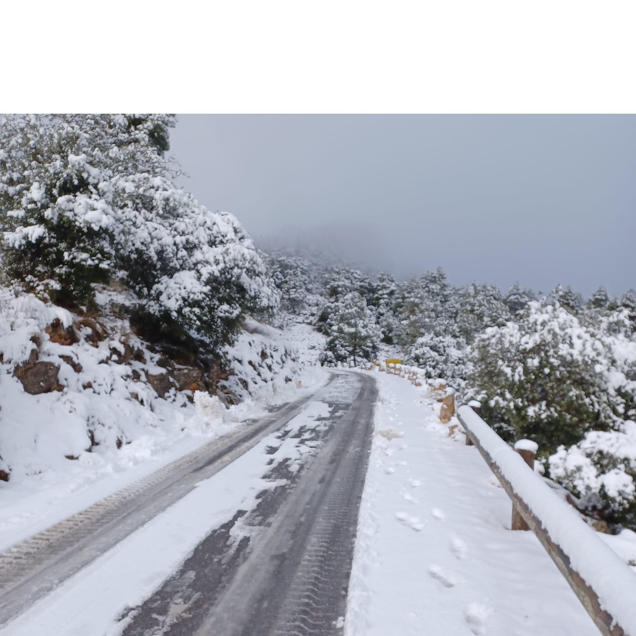 Agentes medio ambientales informan del corte a causa de la nieve de la carretera Collado Bermejo, dirección Pozos de la Nieve