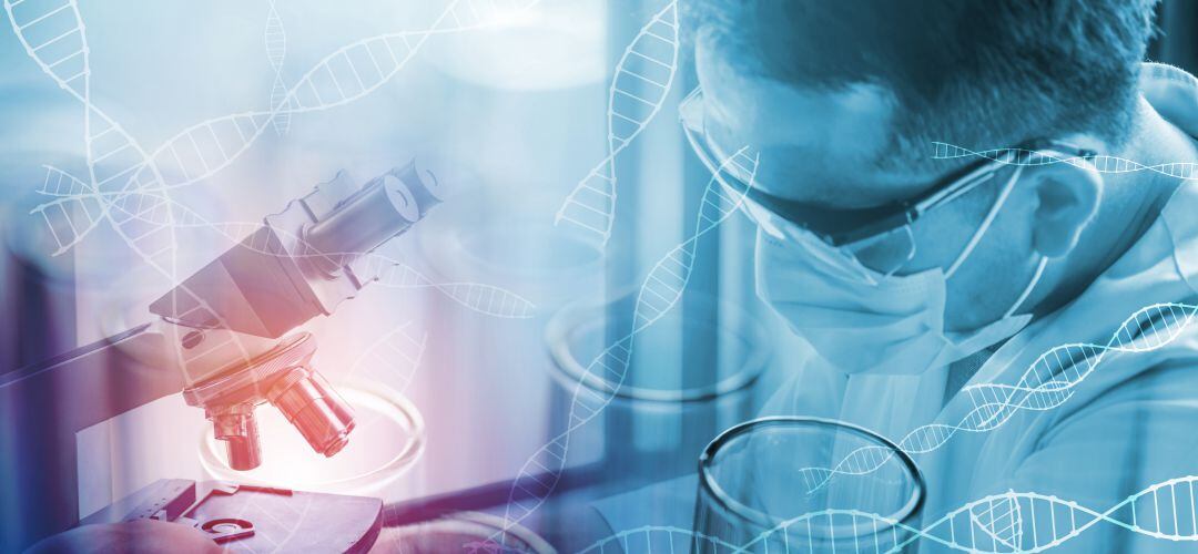 La Fundación de Investigación Biomédica del Hospital Universitario de Getafe trabaja en diferentes lineas de investigación sobre envejecimiento.