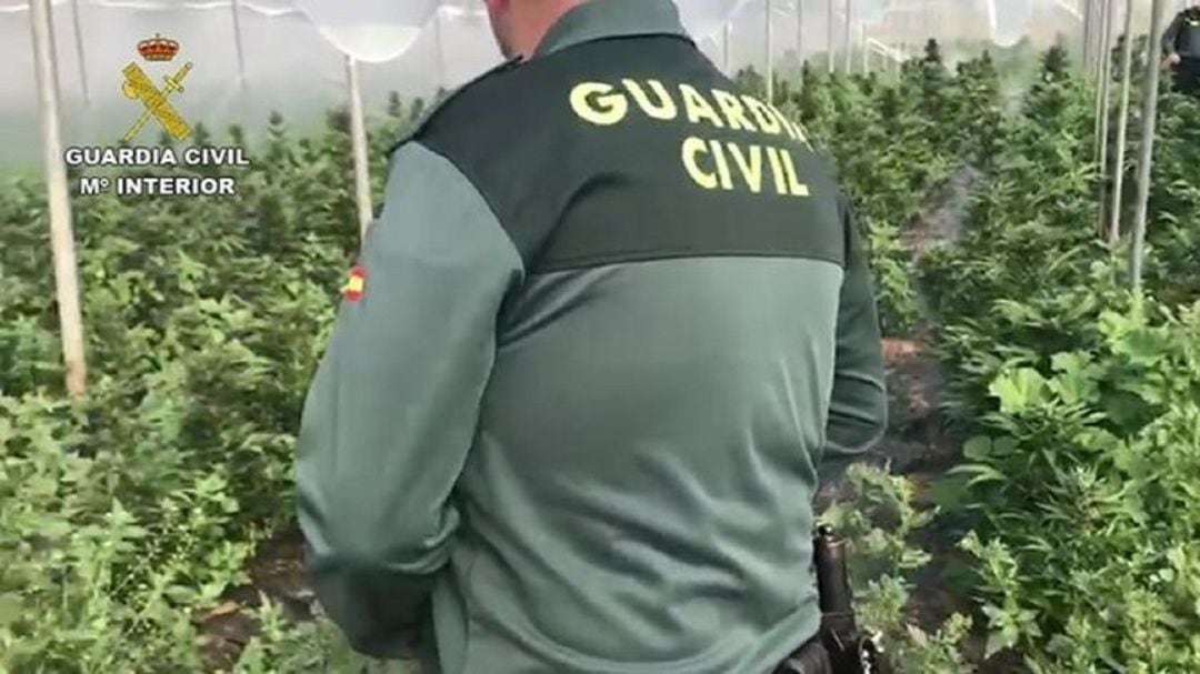 Actuación de la Guardia Civil en Darro