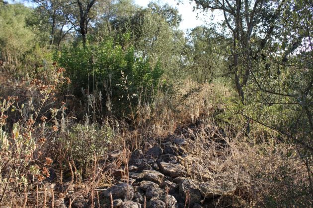 Terreno pedregoso y lleno de maleza por el que se está buscando a Juan José