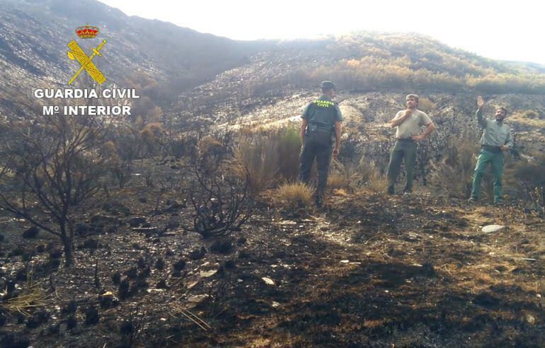 Imagen del incendio que asoló La Cabrera en 2017