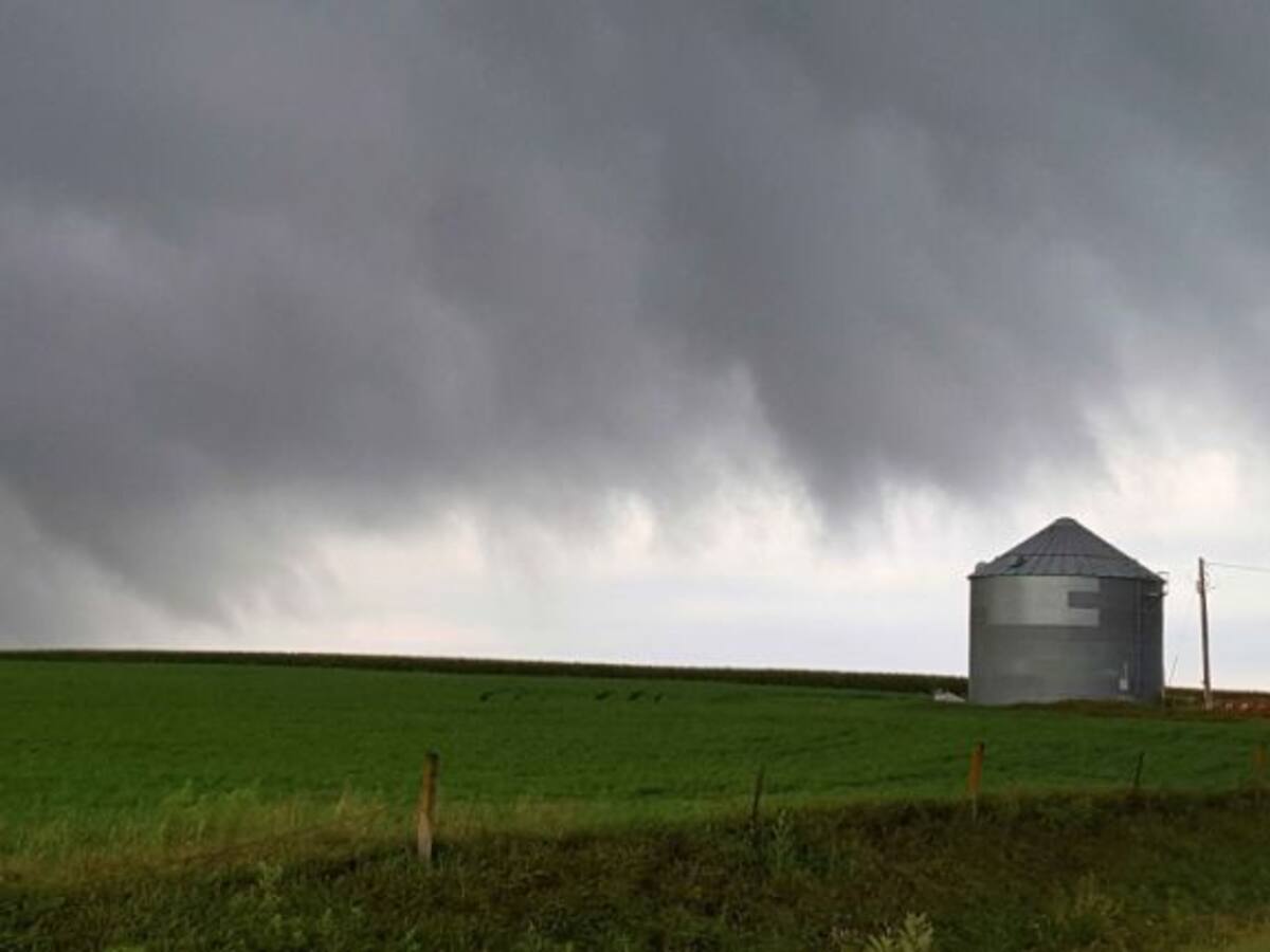 El cambio del clima y sus efectos en las cosechas en SER Agricultor