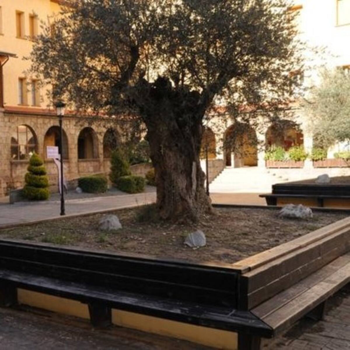 El Centro de emprendedores se traslada a Pirenarium