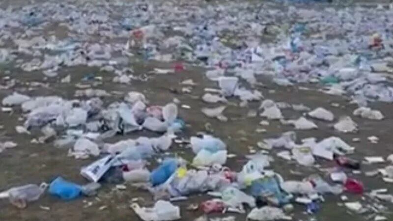 Imagen que compaña la petición