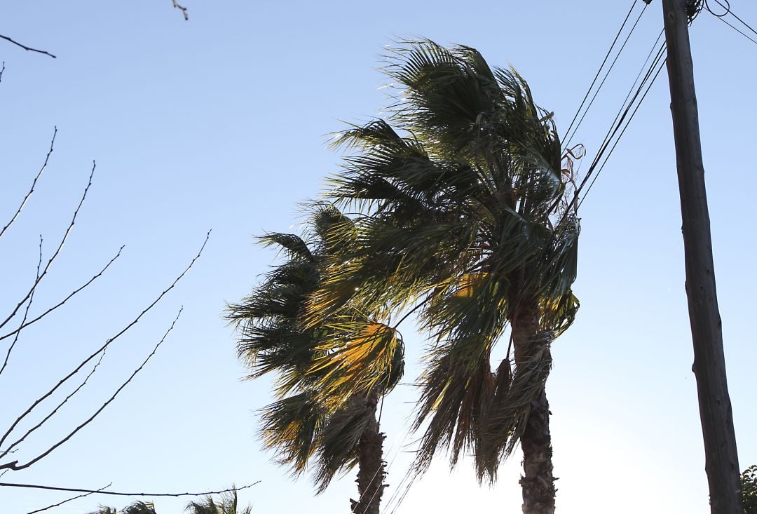 Viento. Imagen de archivo