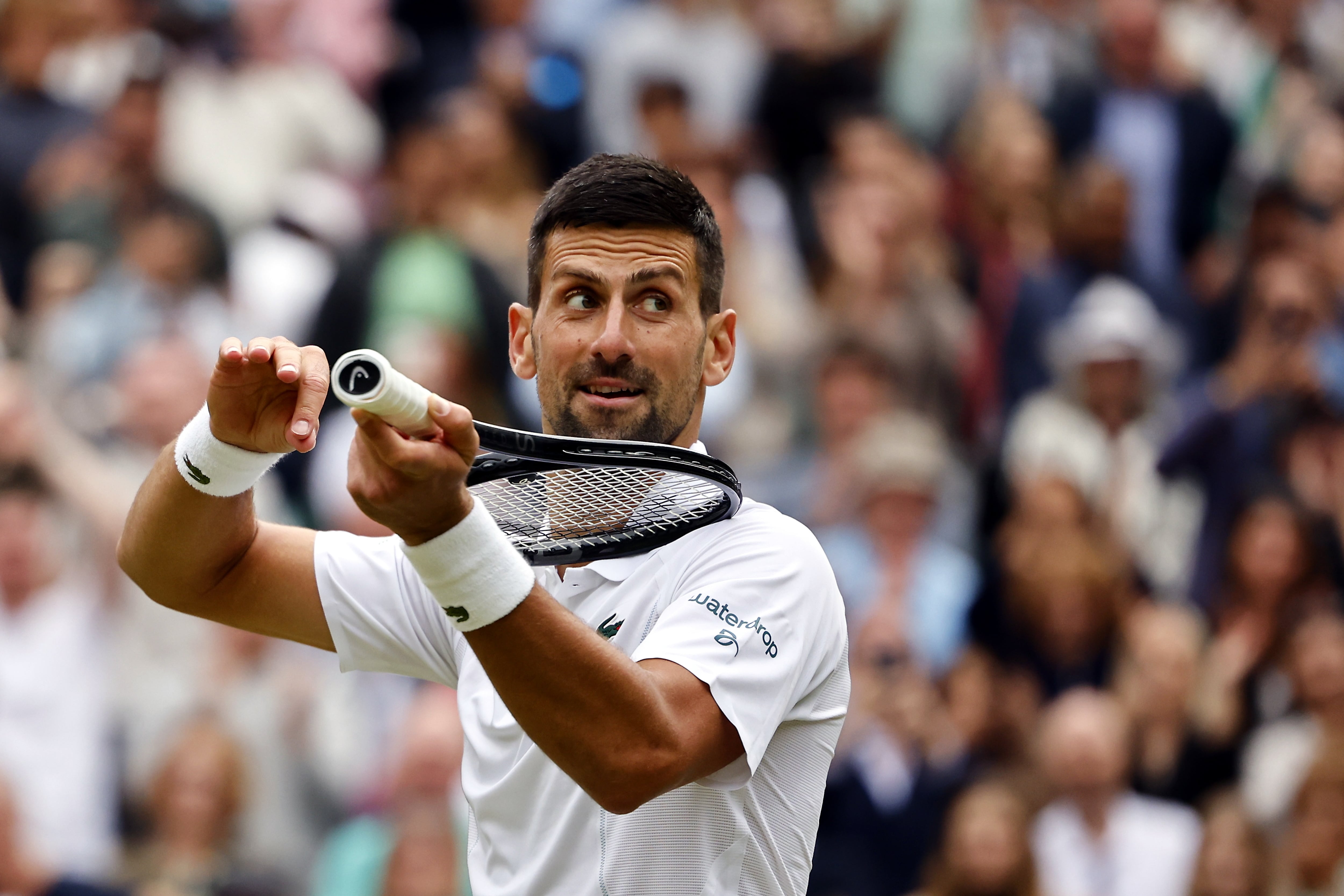 Novak Djokovic celebra su pase a la final de Wimbledon 2024