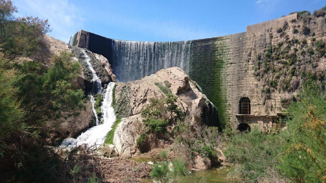 Pantano de Elche